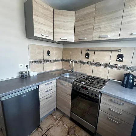 公寓 Family Space Apartament 科沃布热格